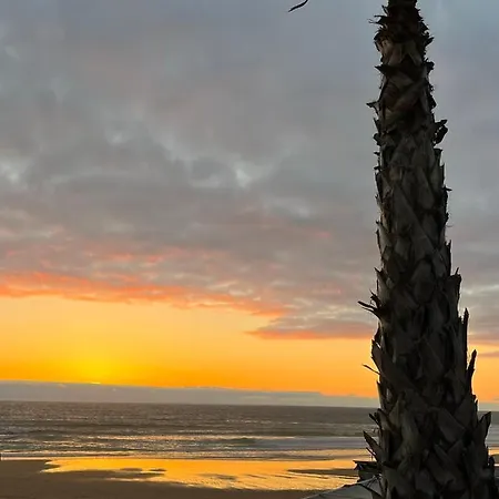 Face A L'ocean * Lacanau