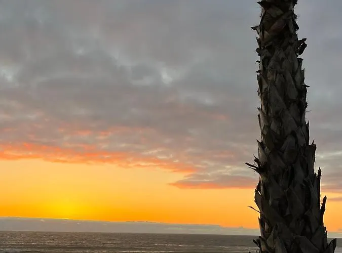 Face à L’océan * Lacanau